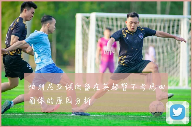 帕利尼亚倾向留在英超暂不考虑回葡体的原因分析
